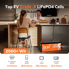CTOLITY CT100-25 25.6V 100Ah 2560Wh LiFePO4 Battery