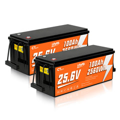 CTOLITY  CT100-25 25.6V 100Ah 2560Wh LiFePO4 Battery